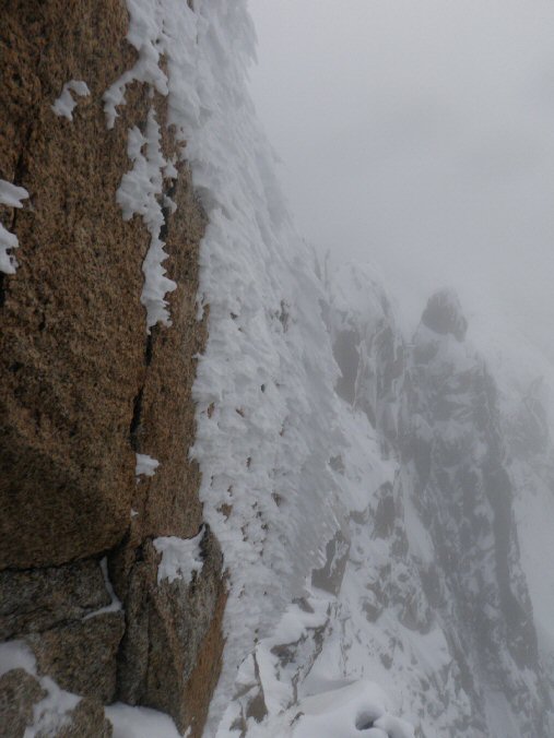 Cosmiques_2013 (65).jpg